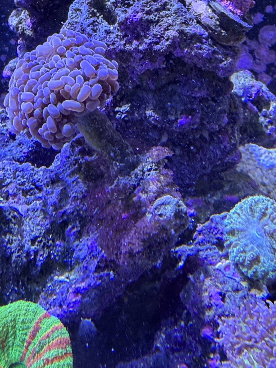 IMG_1063.jpeg