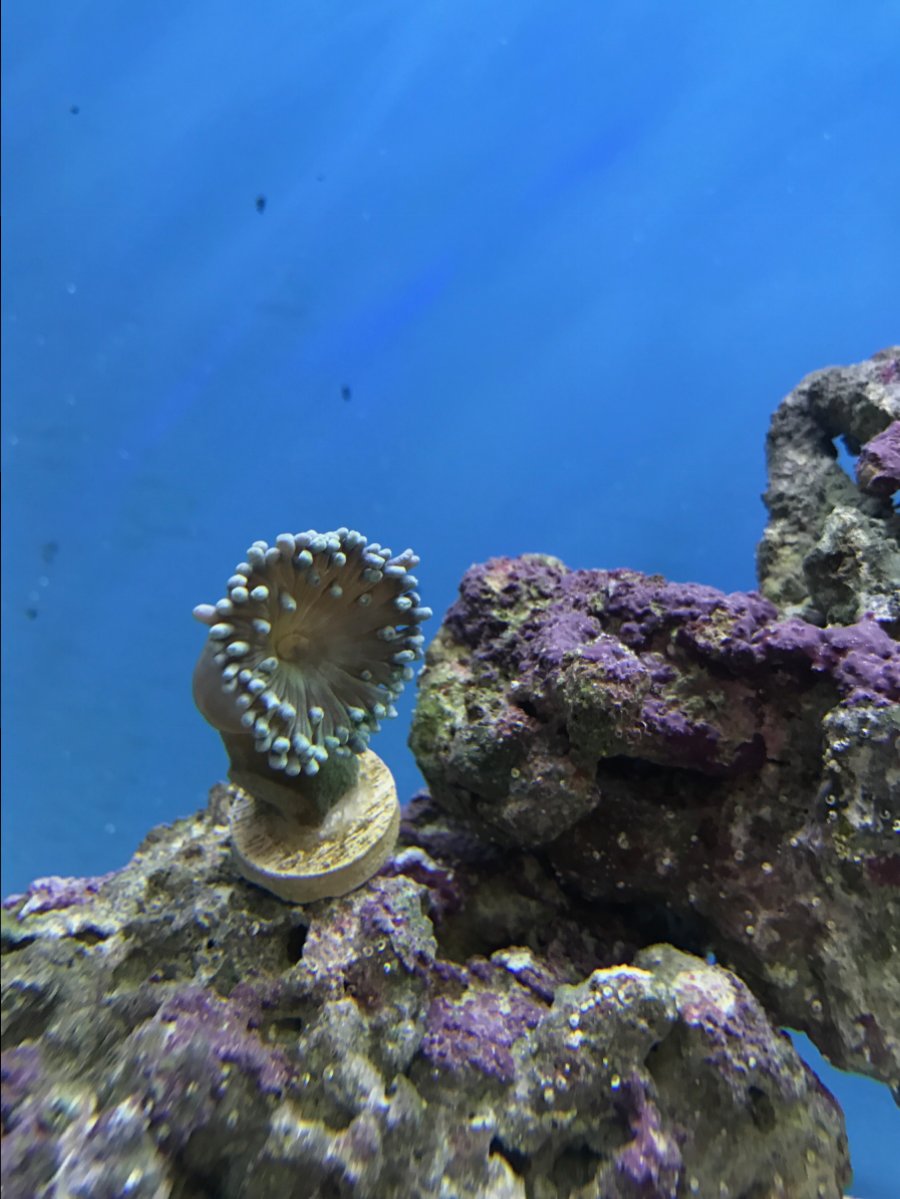 IMG_1065.JPG