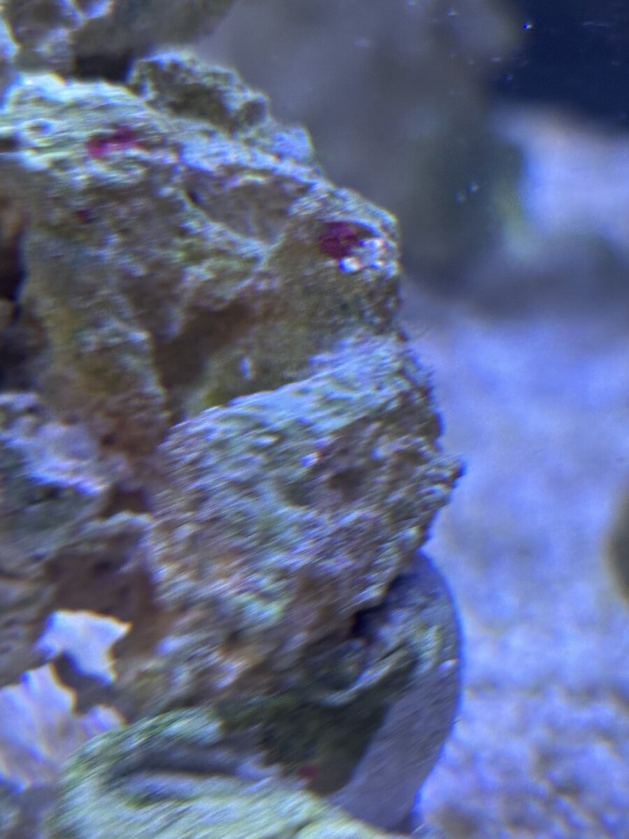 IMG_1076.jpeg