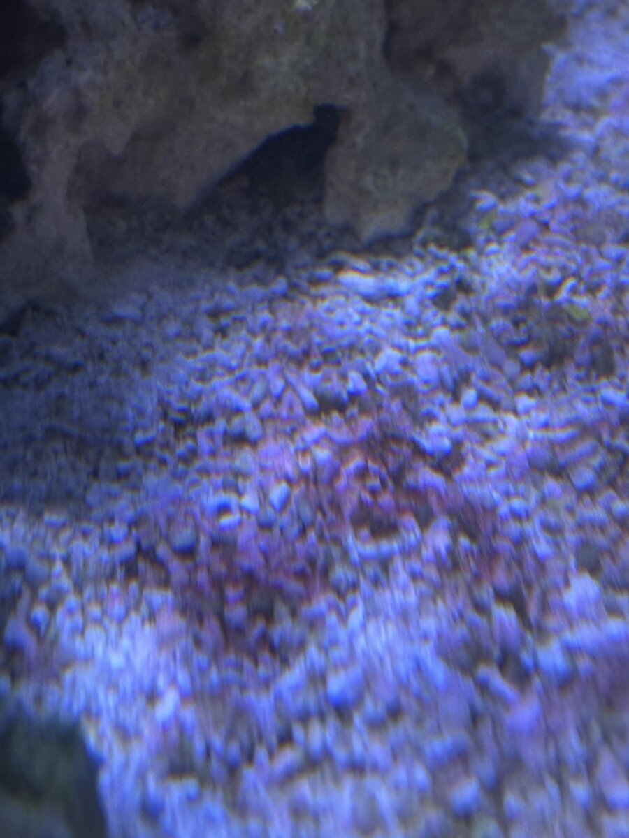 IMG_1080.jpeg