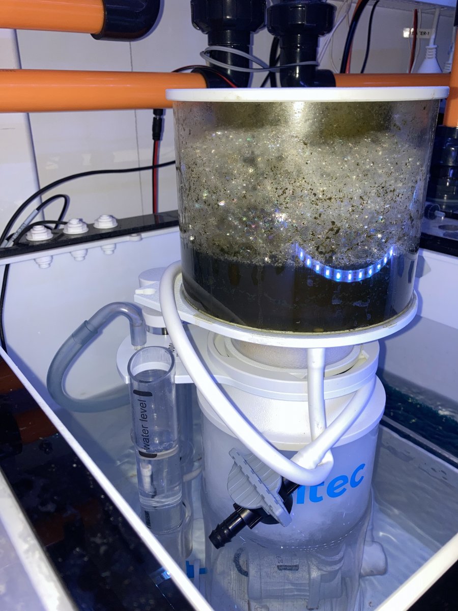 Large Build - ReefSentinel’s 200g Mini Barrier Reef build. | Page 11 ...