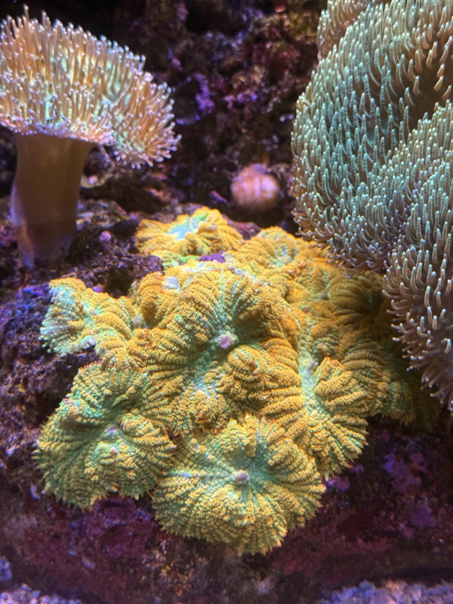 IMG_1081.jpeg