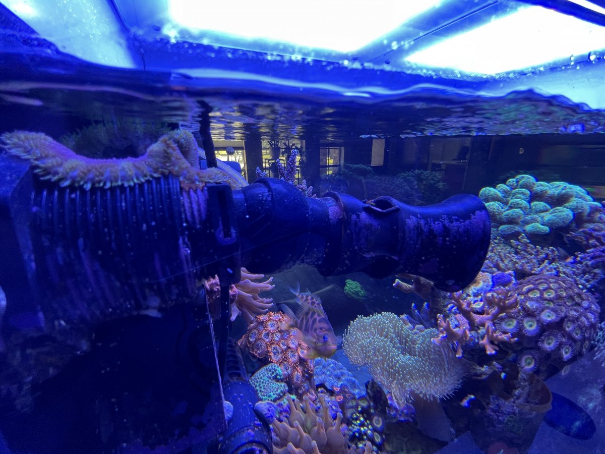 IMG_1083.JPG