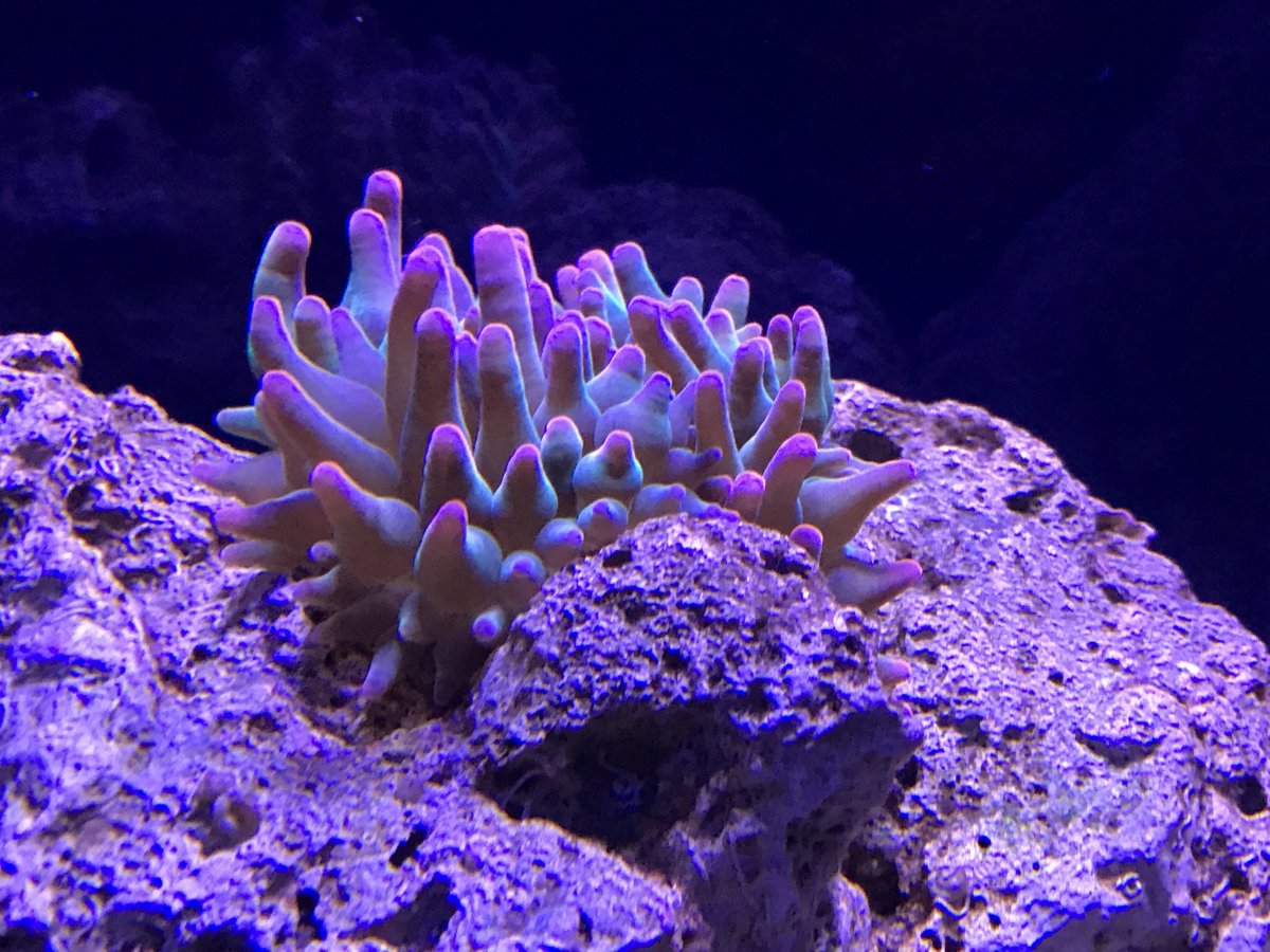 IMG_1088.JPG