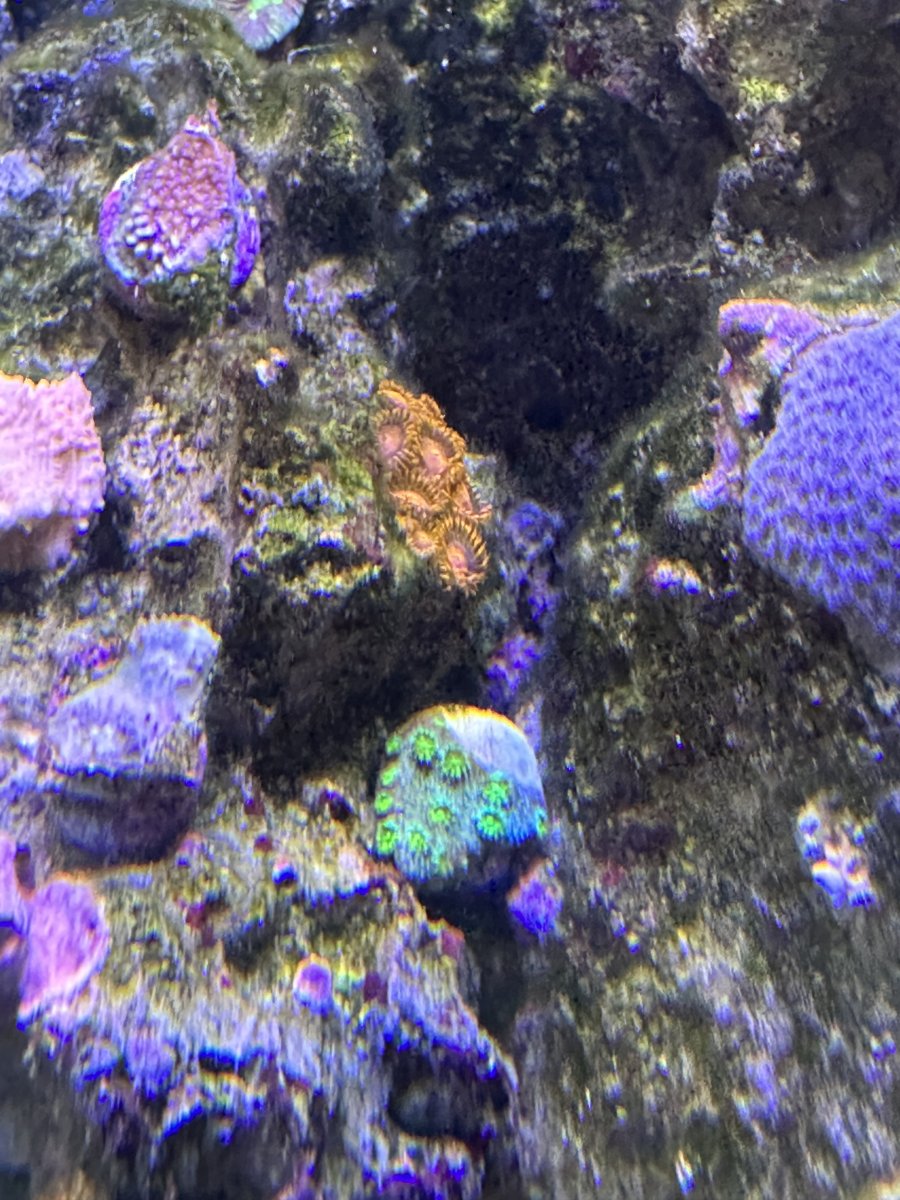 IMG_1096.jpeg