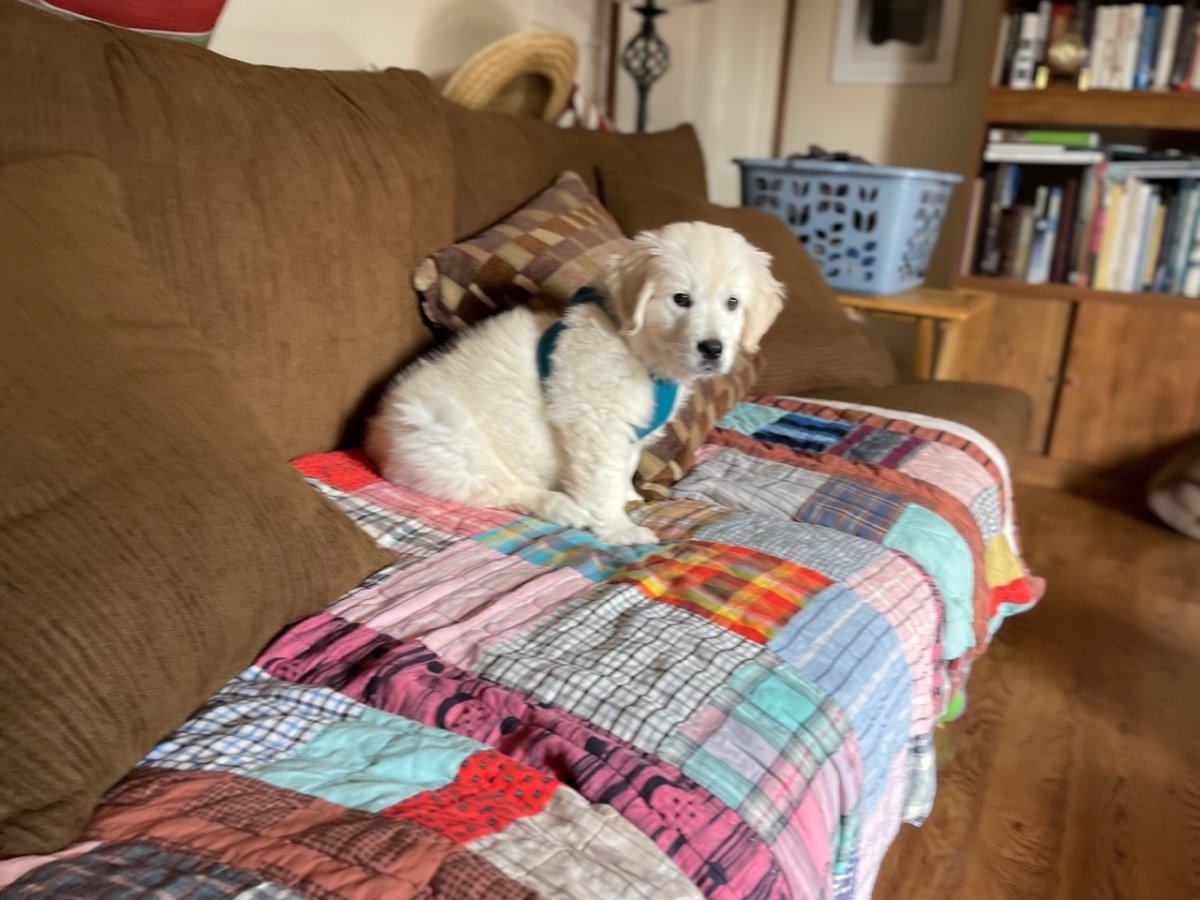IMG_1098.jpeg