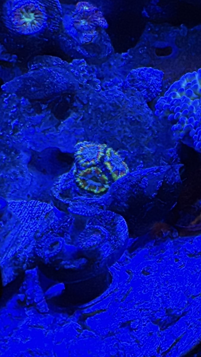 IMG_1100.jpeg