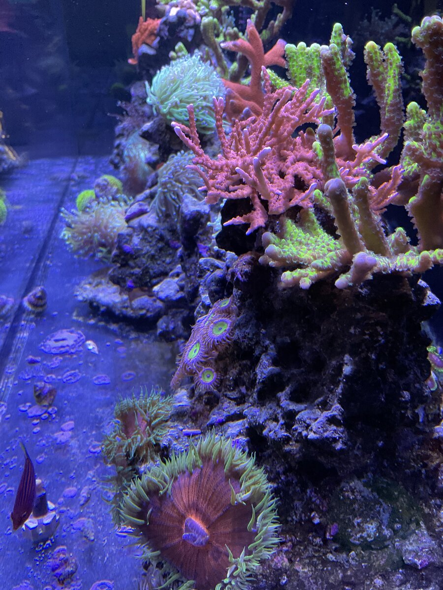IMG_1100.jpeg