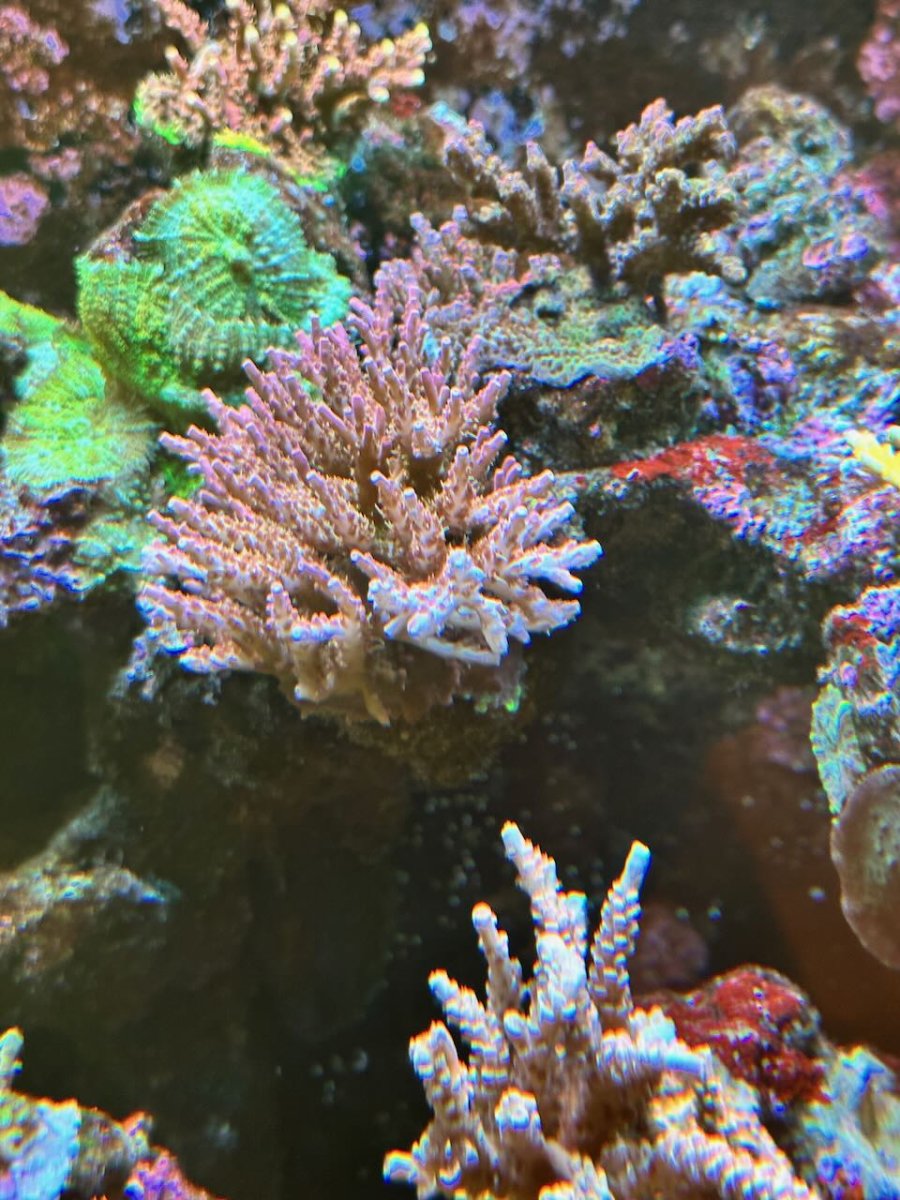 IMG_1101.jpeg