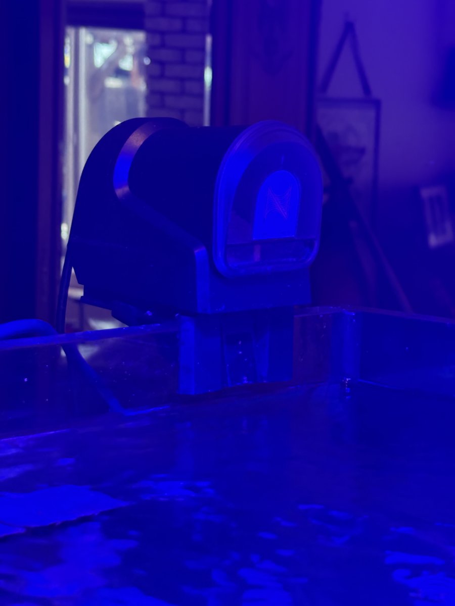 IMG_1101.jpeg