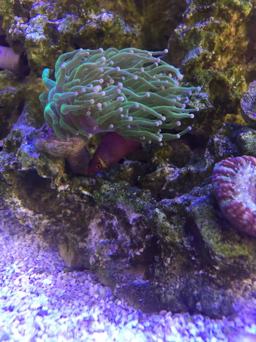 IMG_1102.jpeg