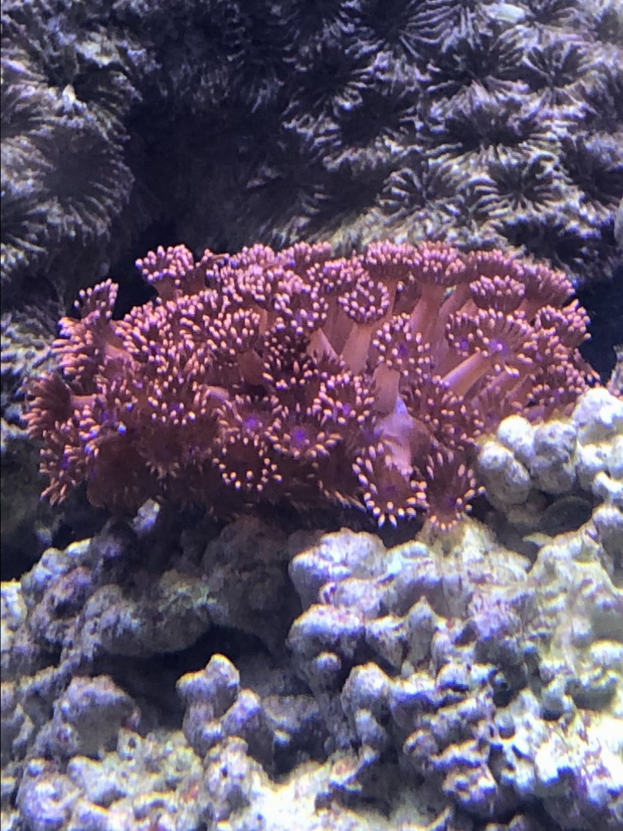 IMG_1104.jpg
