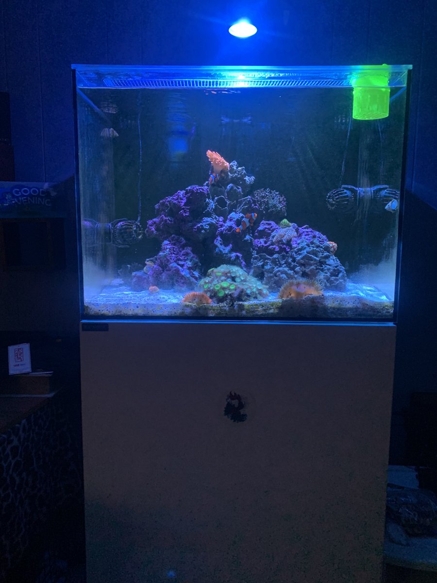 IMG_1111.jpeg