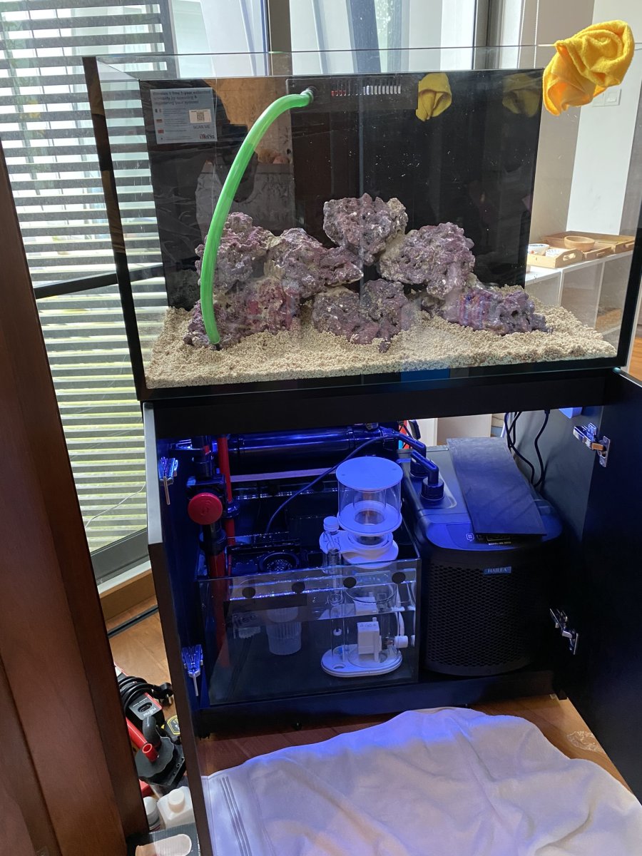 Build Thread - RED SEA REEFER 250 G2 BUILD | Reef2Reef