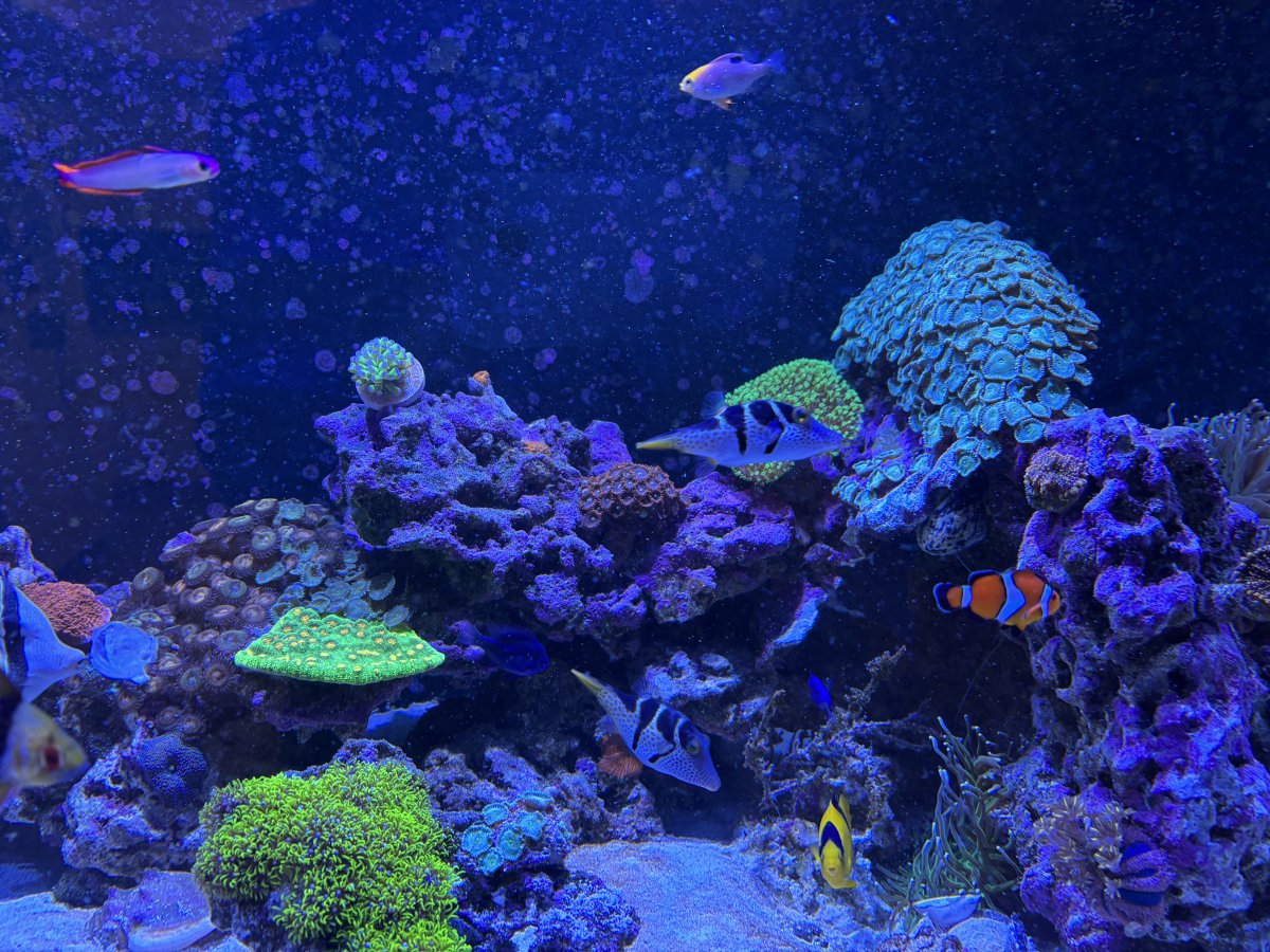 IMG_1139.jpeg