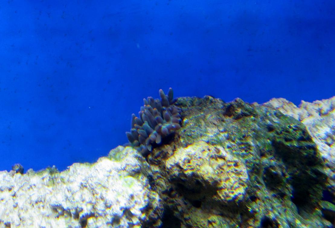 IMG_1143.jpg