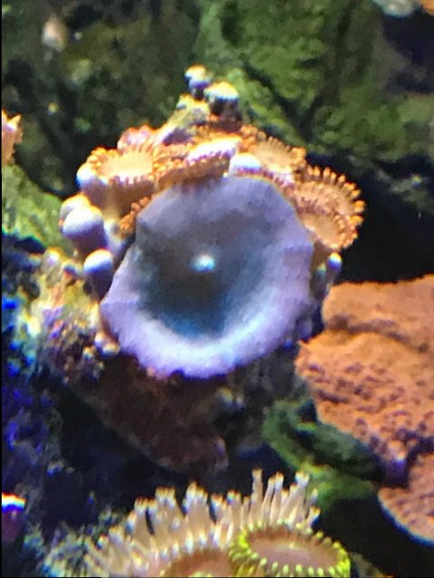 IMG_1145.jpg
