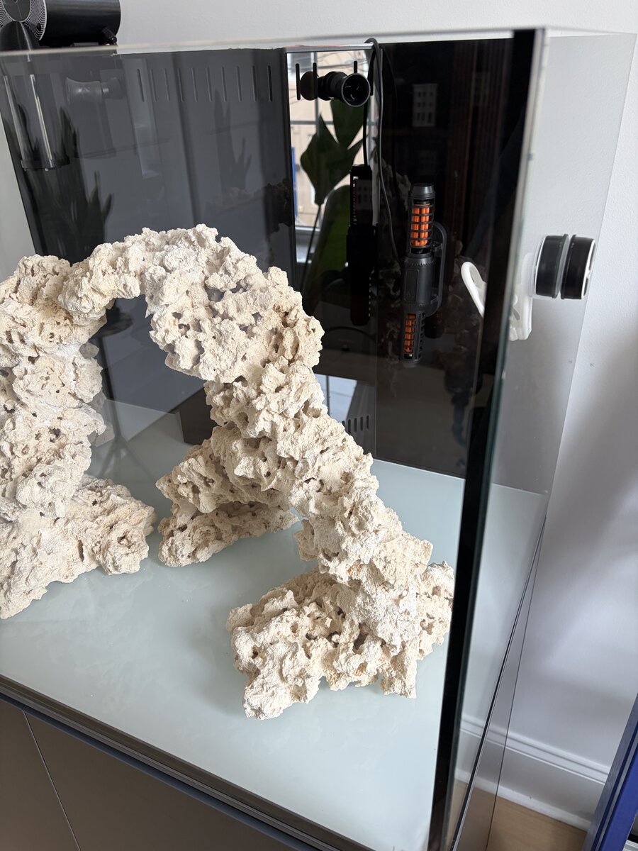 IMG_1157.JPG