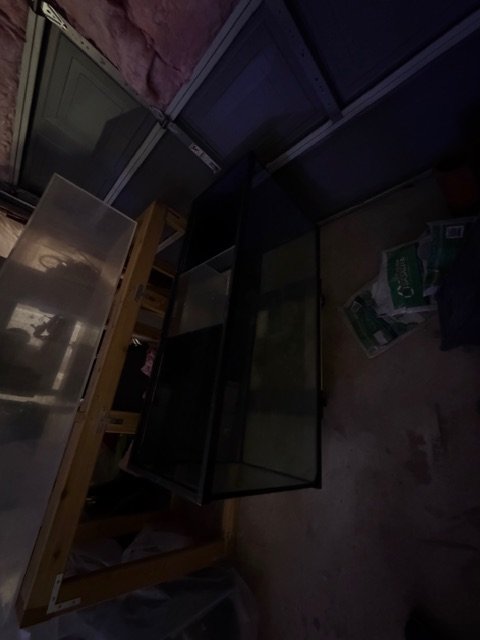 IMG_1158.jpeg