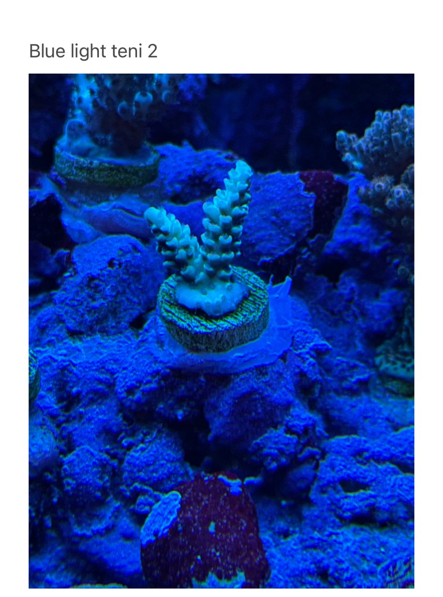 IMG_1160.jpeg