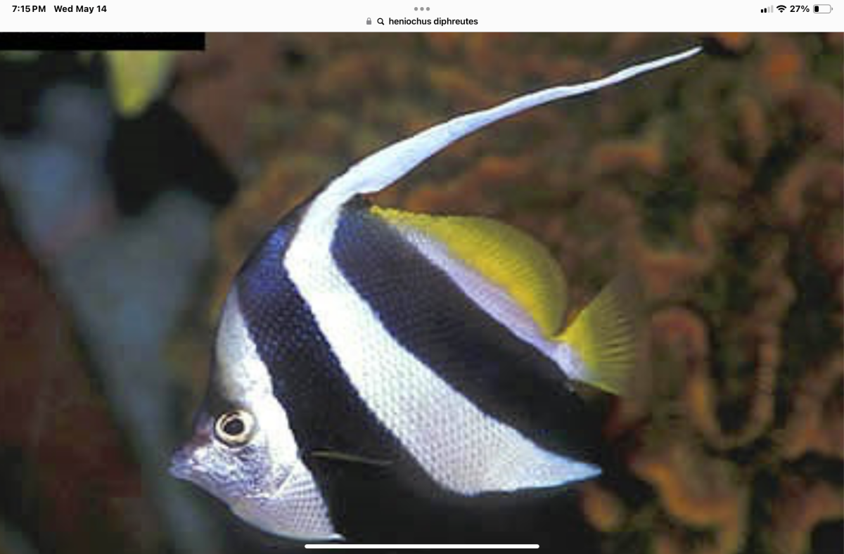 Is there a particular fish that one day you hope you can have in your ...