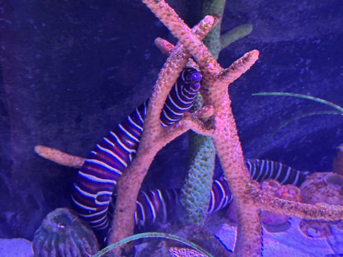 IMG_1173.jpeg