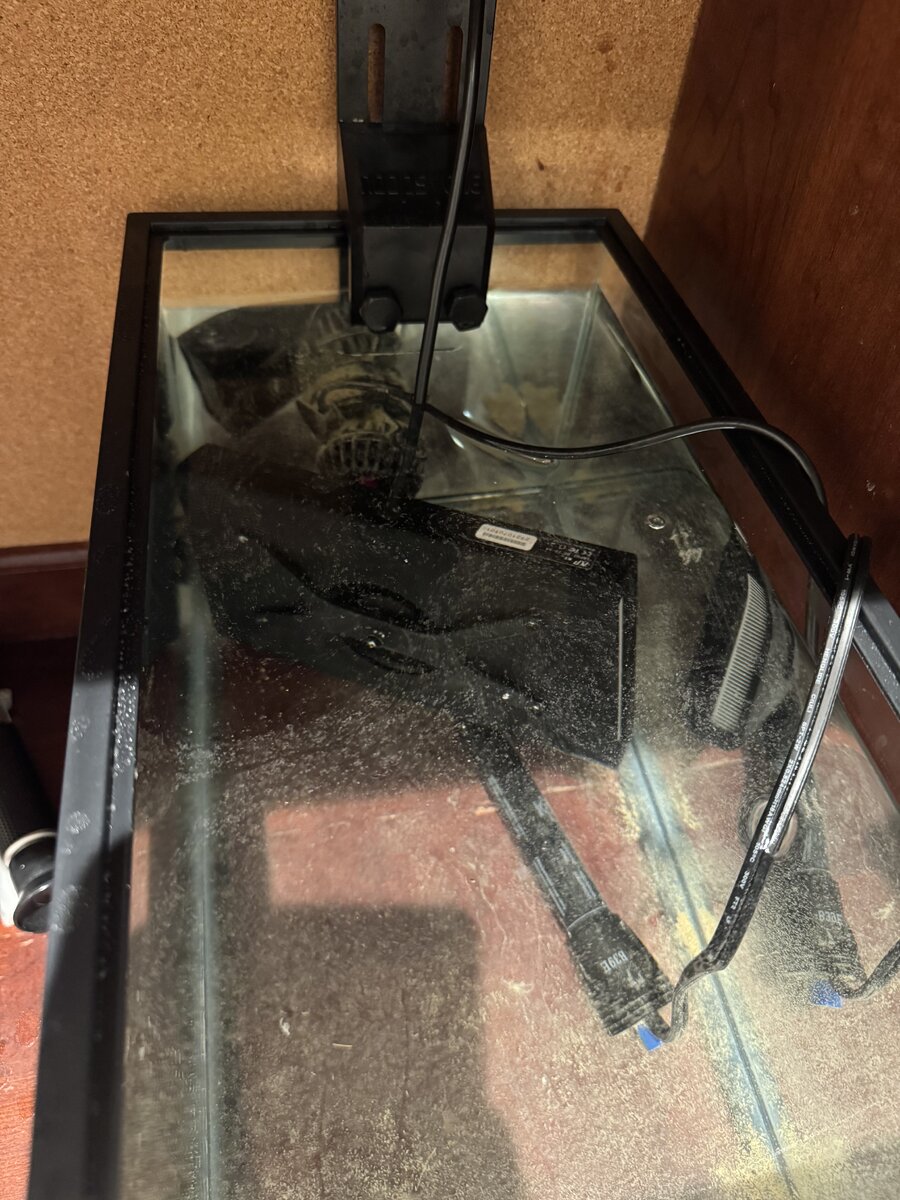 IMG_1179.jpeg