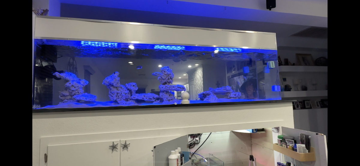 Large Build - Show Off Your Large Tank Aquascape :) | Page 56 | Reef2Reef