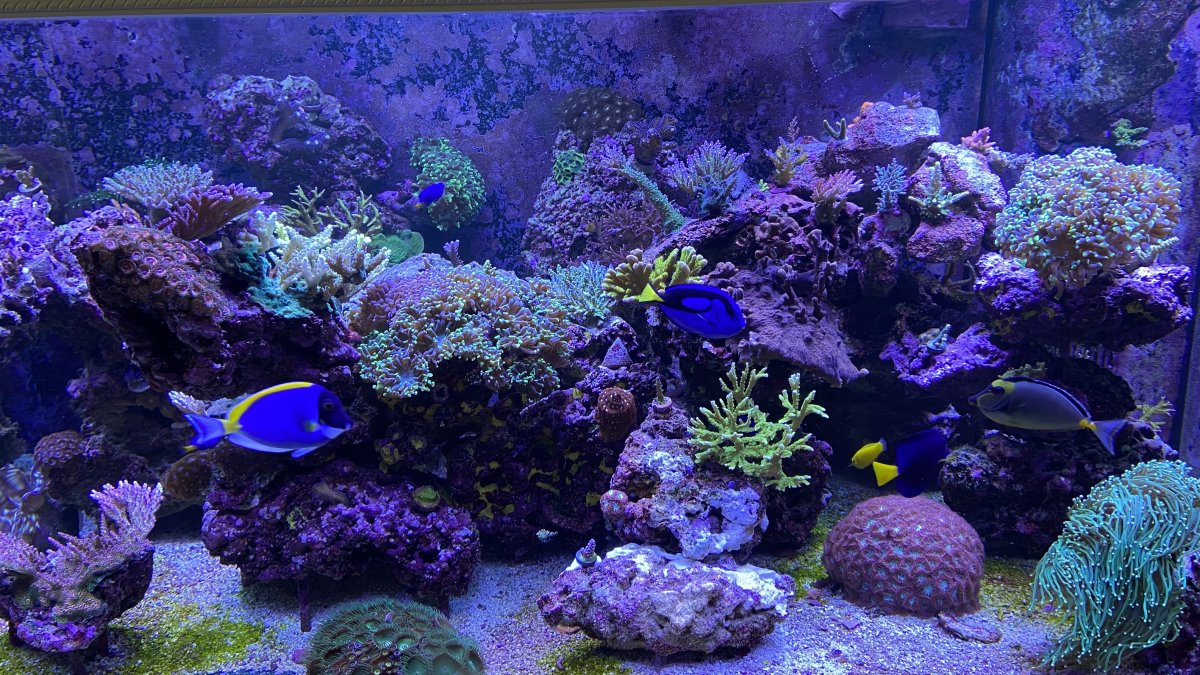 IMG_1198.jpeg