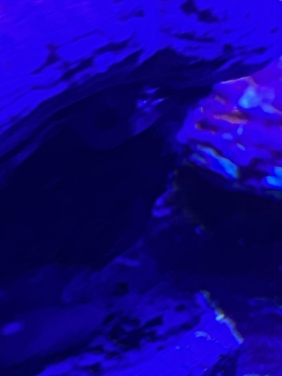 IMG_1198.jpeg
