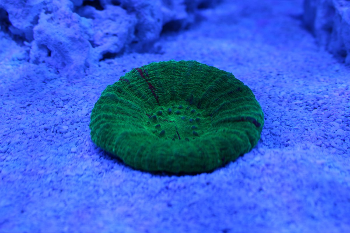 IMG_1204.JPG