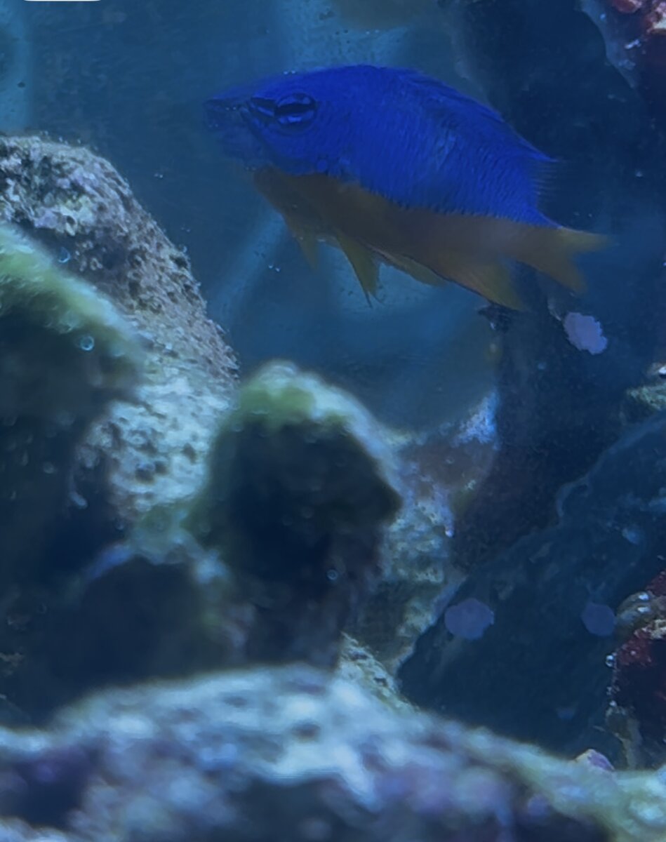 IMG_1214.jpeg
