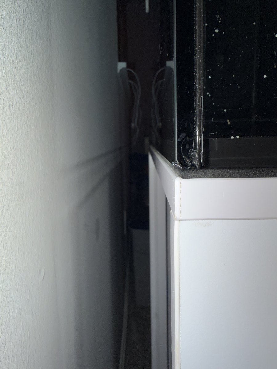 IMG_1214.jpeg