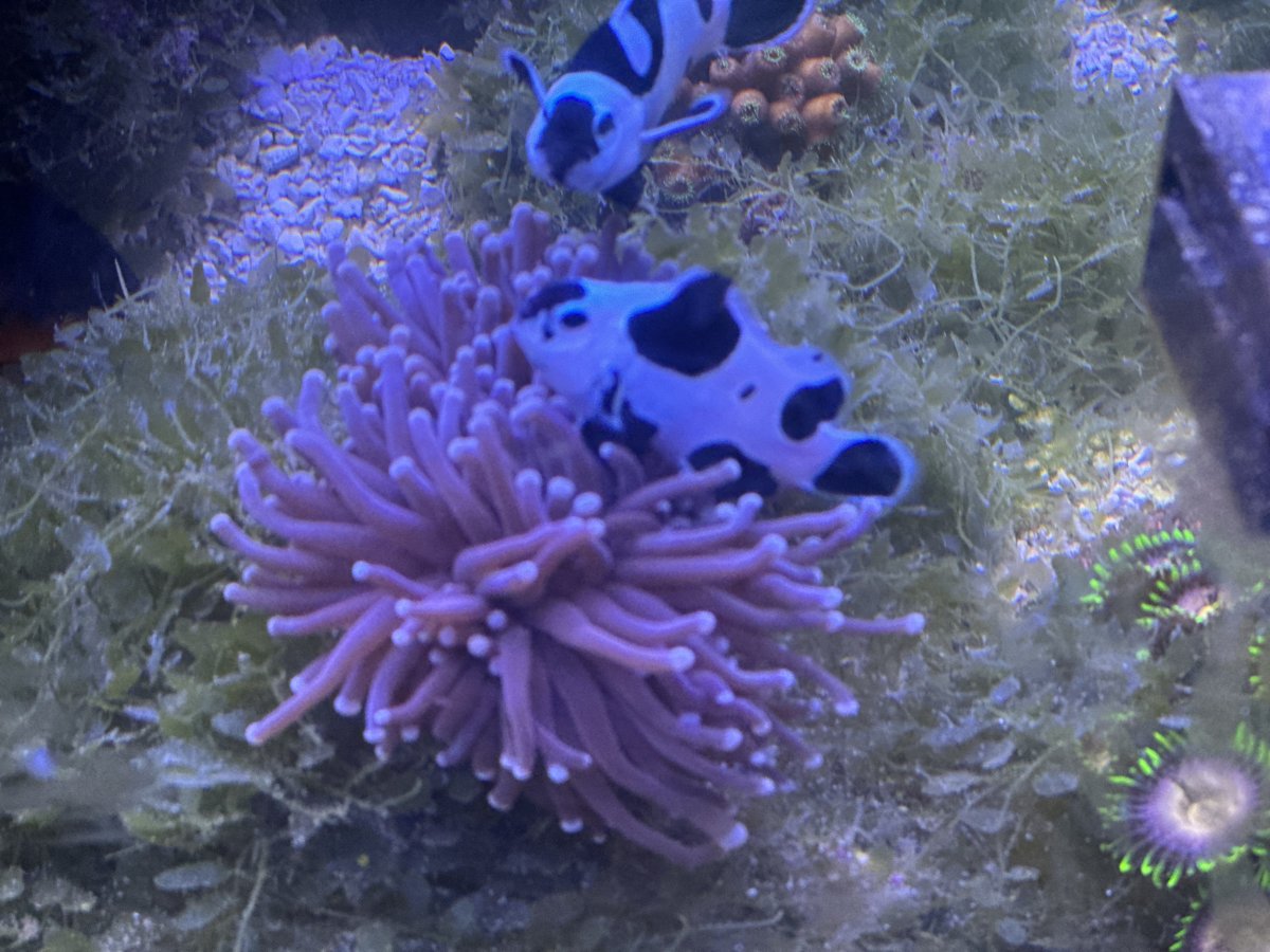 IMG_1218.jpeg