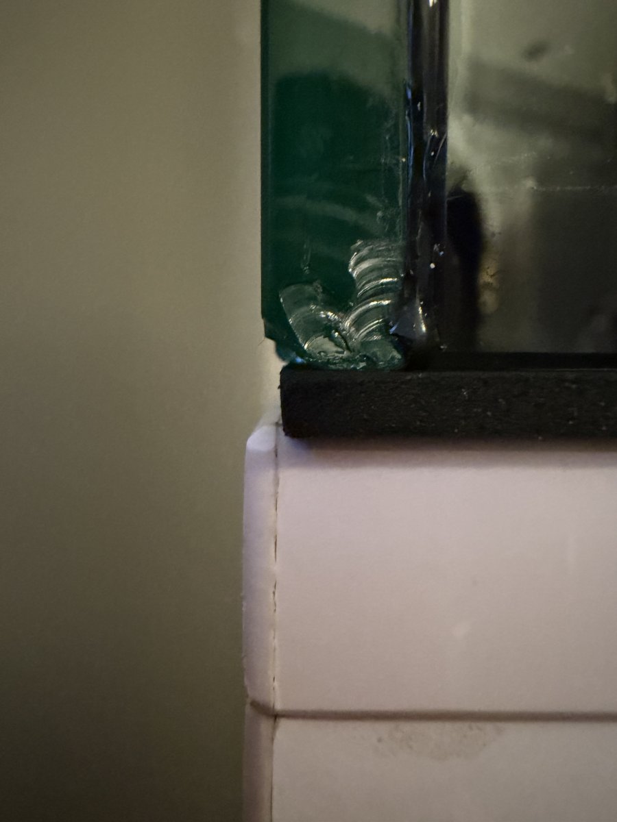 IMG_1220.jpeg