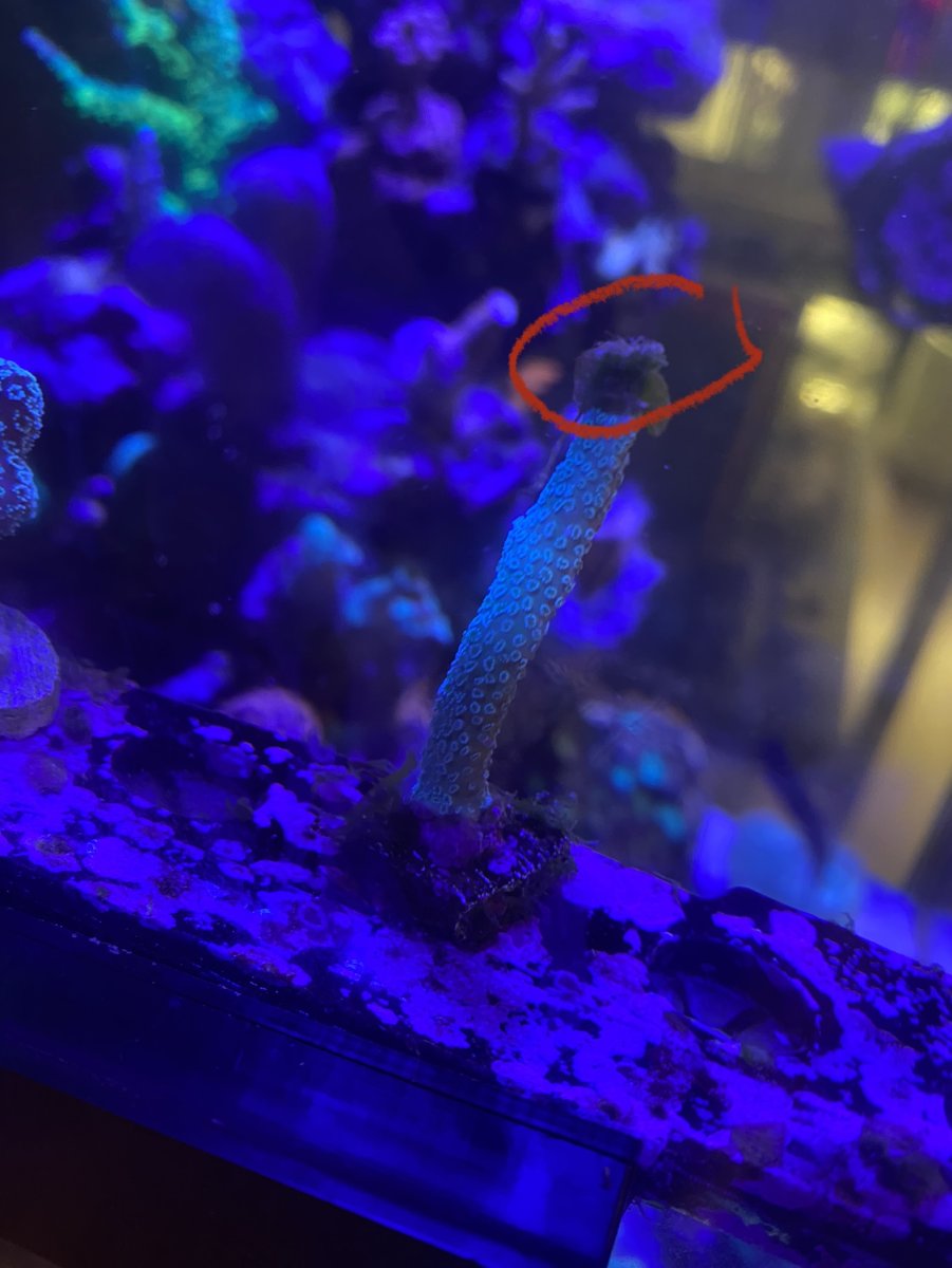 IMG_1220.jpg