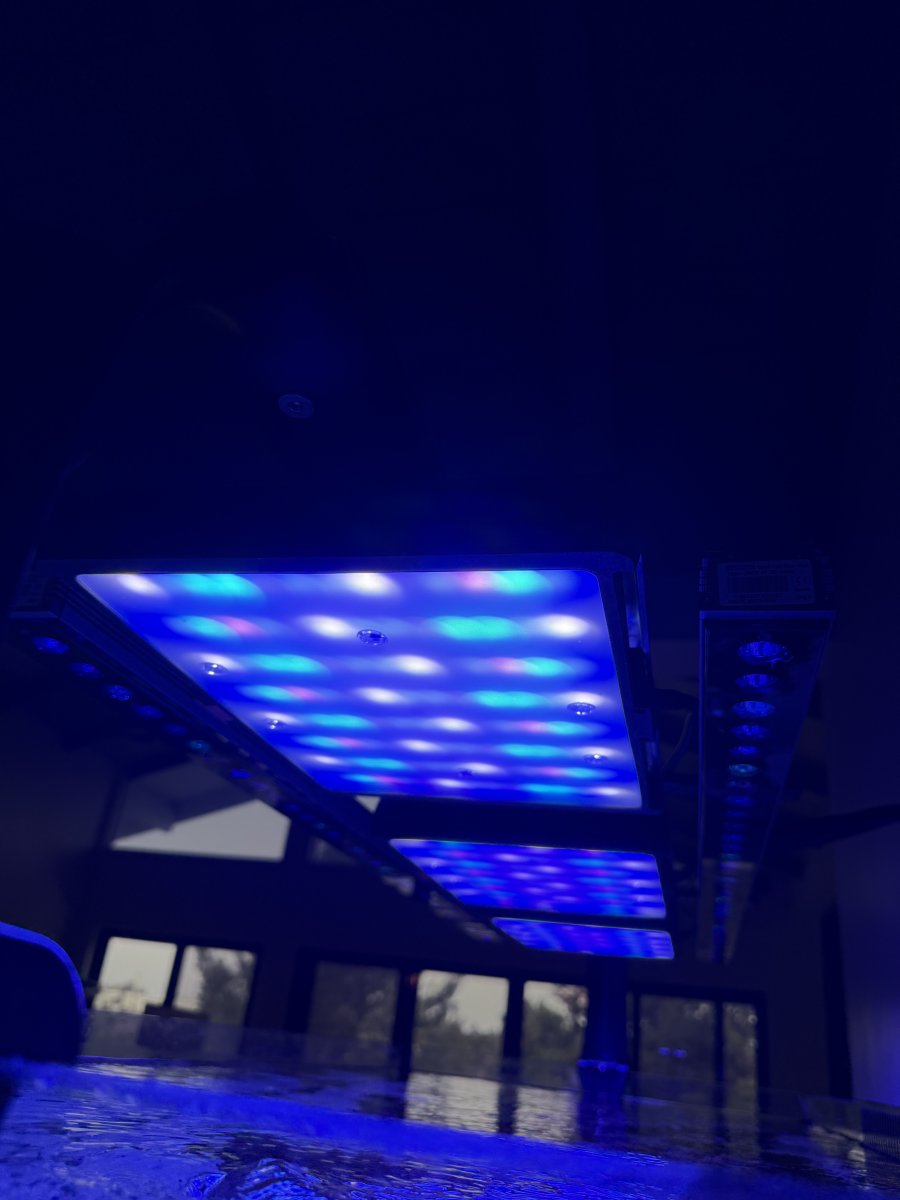 IMG_1227.jpeg