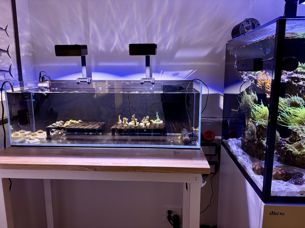 DIYnot? What are some of your favorite DIY reefing projects? | Page 3 ...