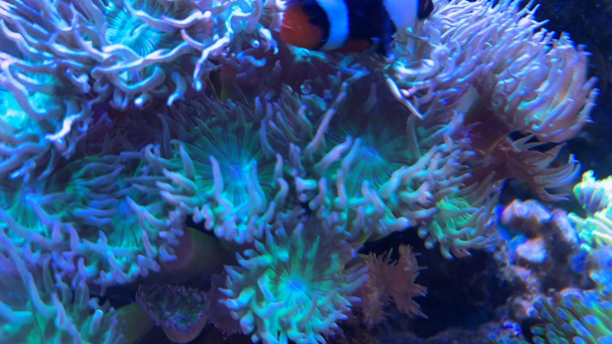 IMG_1247.jpeg