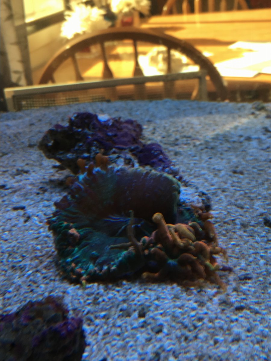 IMG_1253.JPG