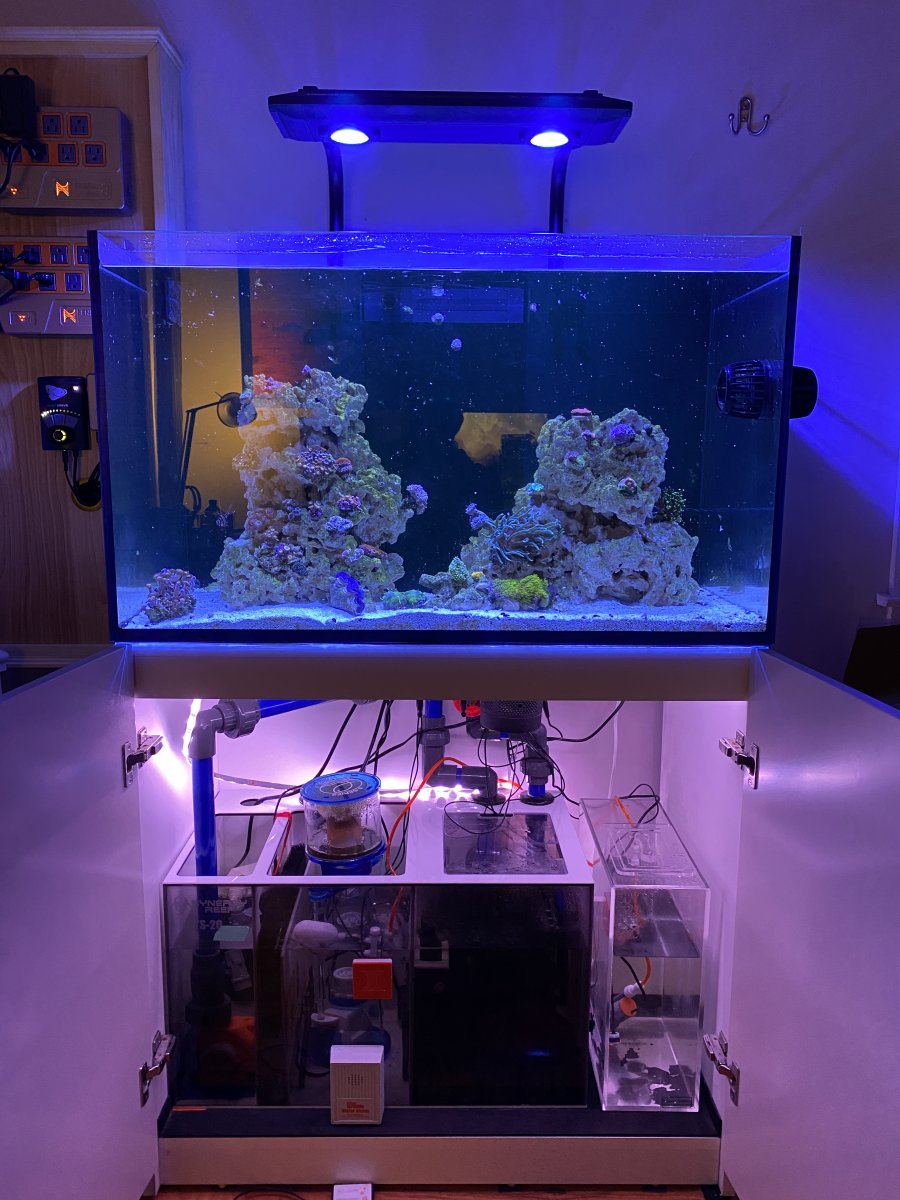 Tennessee Red Sea Reefer 250 Setup Reef2Reef