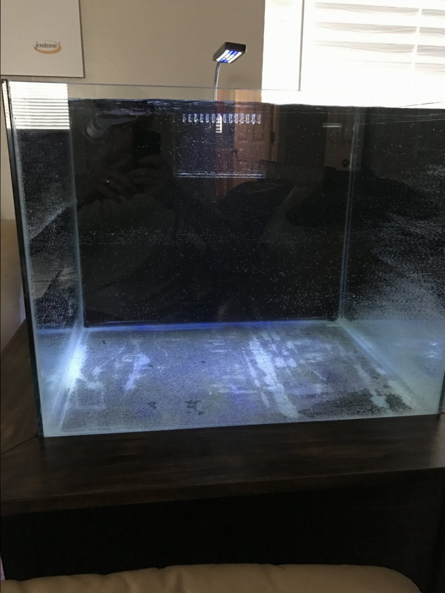 Rimless tank overflow height? | Reef2Reef