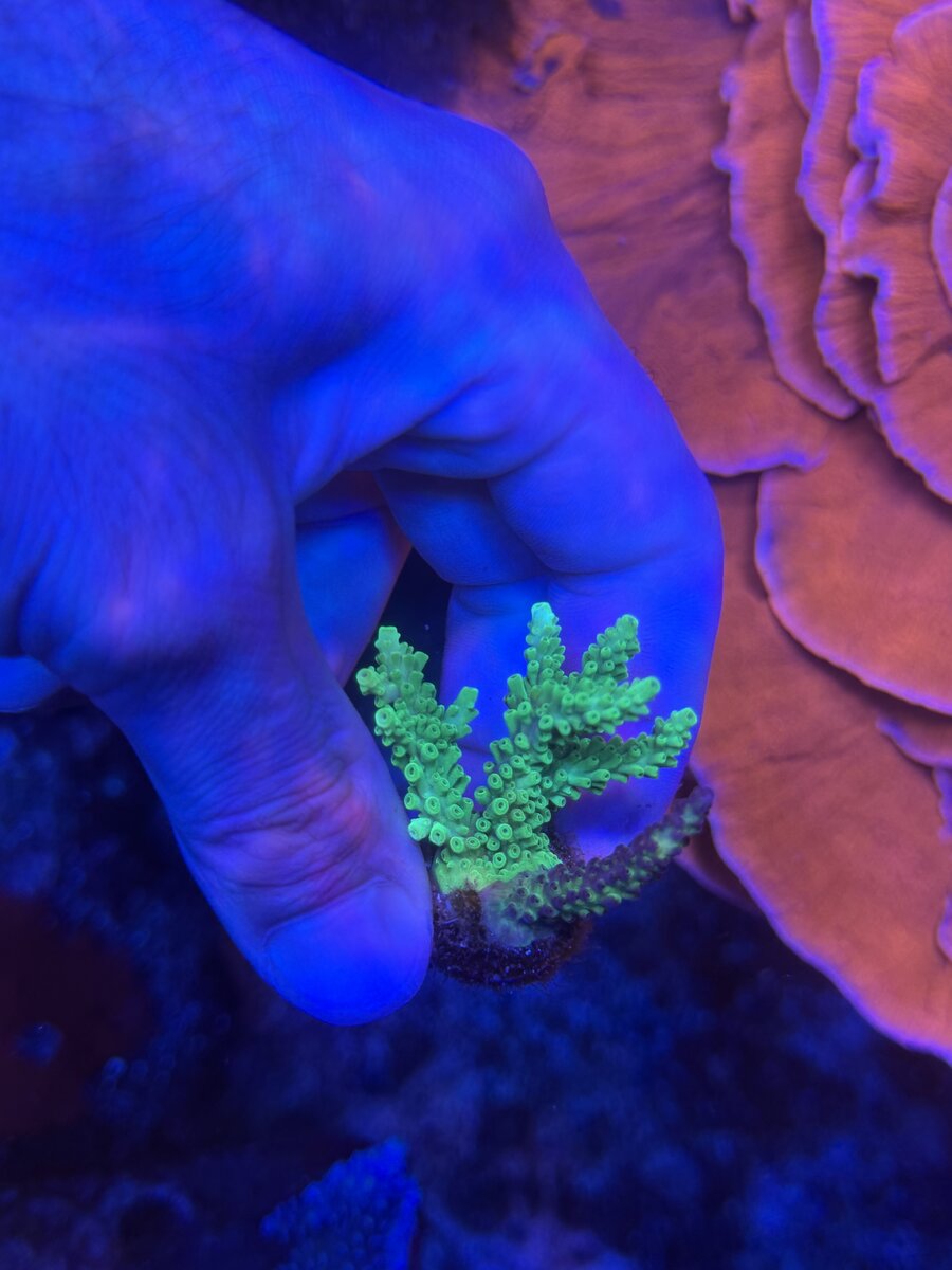 IMG_1259.jpeg