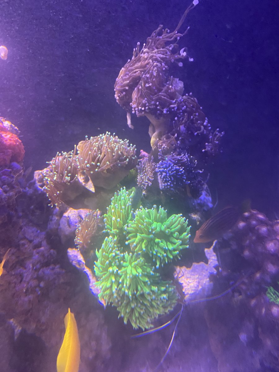 IMG_1260.jpeg