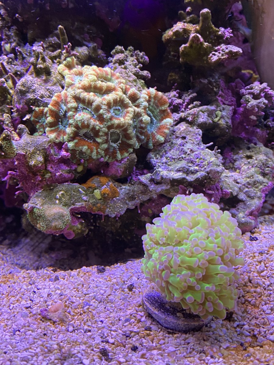 IMG_1269.jpeg