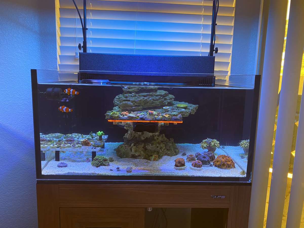 IMG_1270.jpeg
