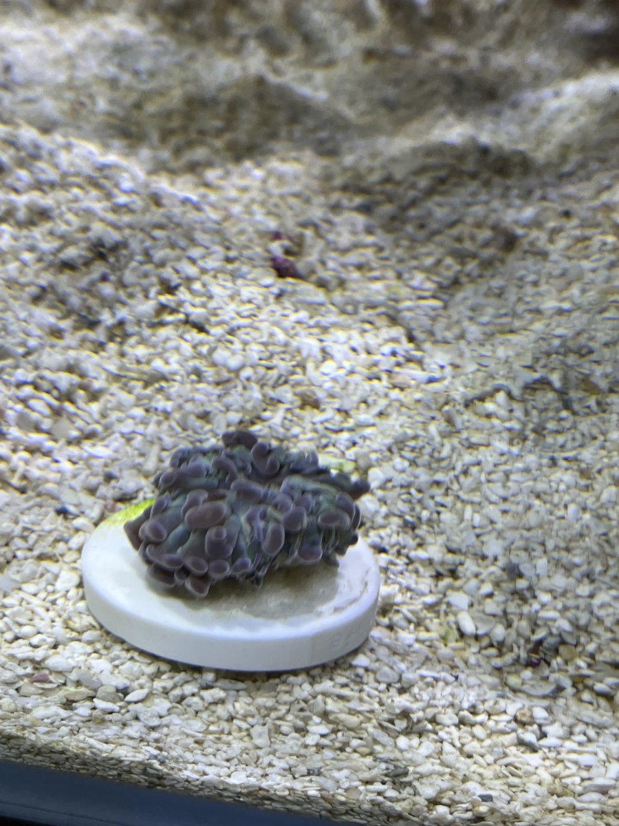 IMG_1270.jpeg