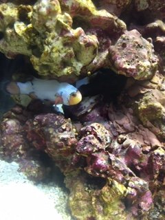 IMG_1277.JPG