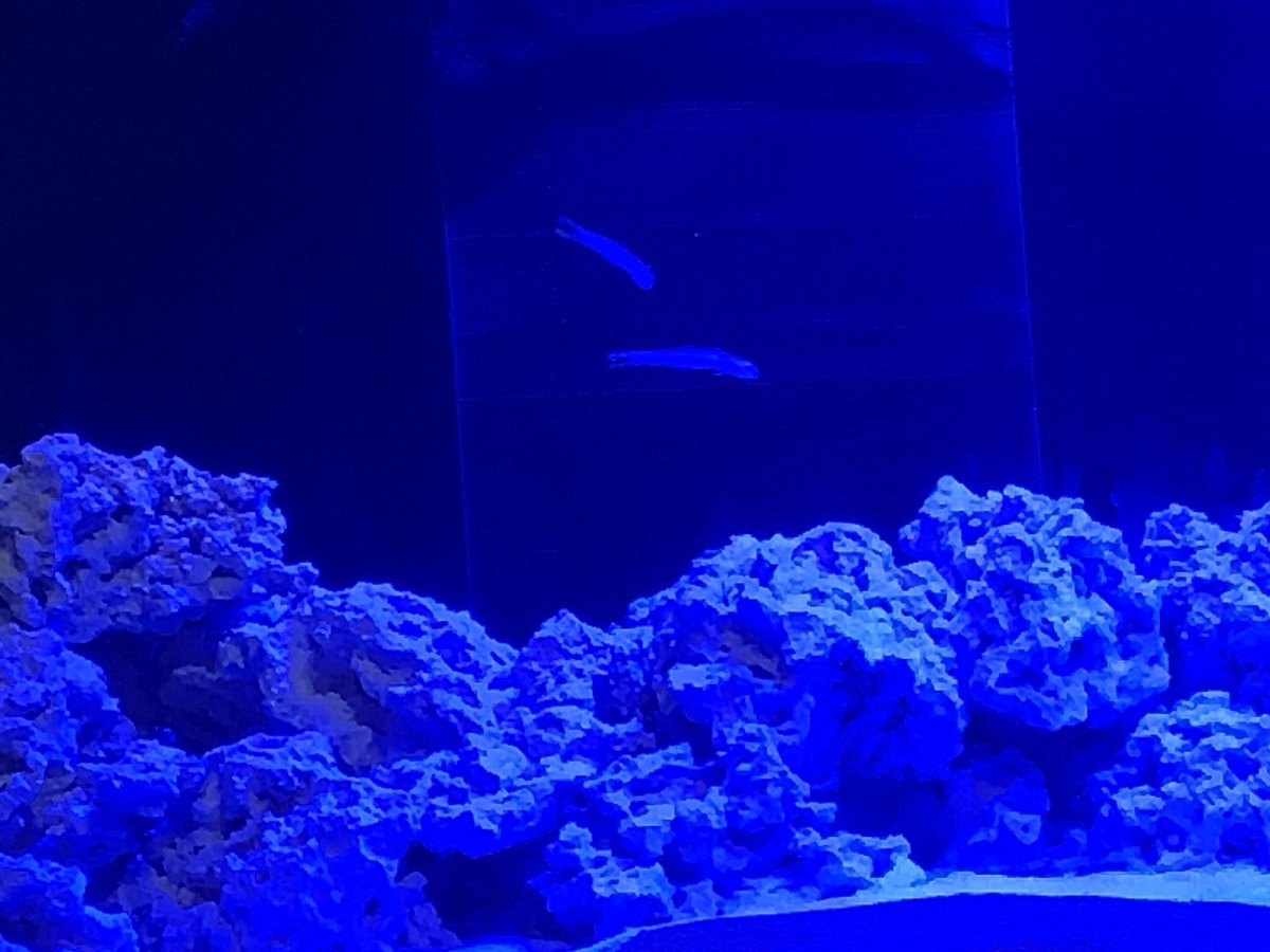 IMG_1283.jpeg