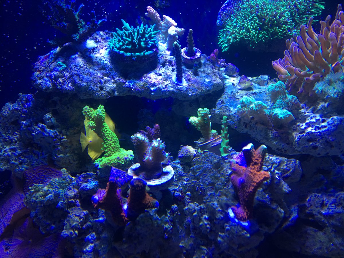 IMG_1286.JPG